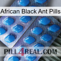African Black Ant Pills viagra2